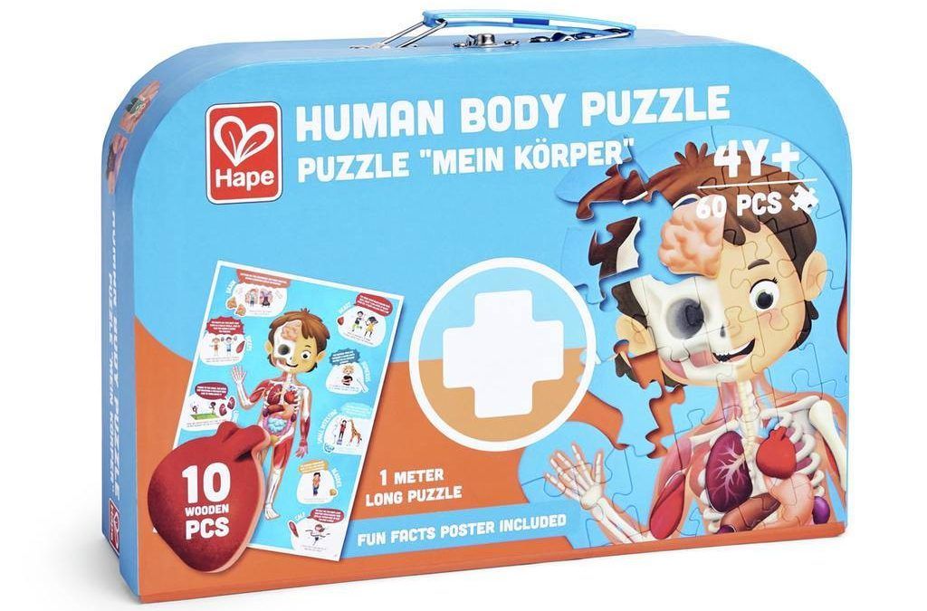 Puzzle del Cuerpo Humano